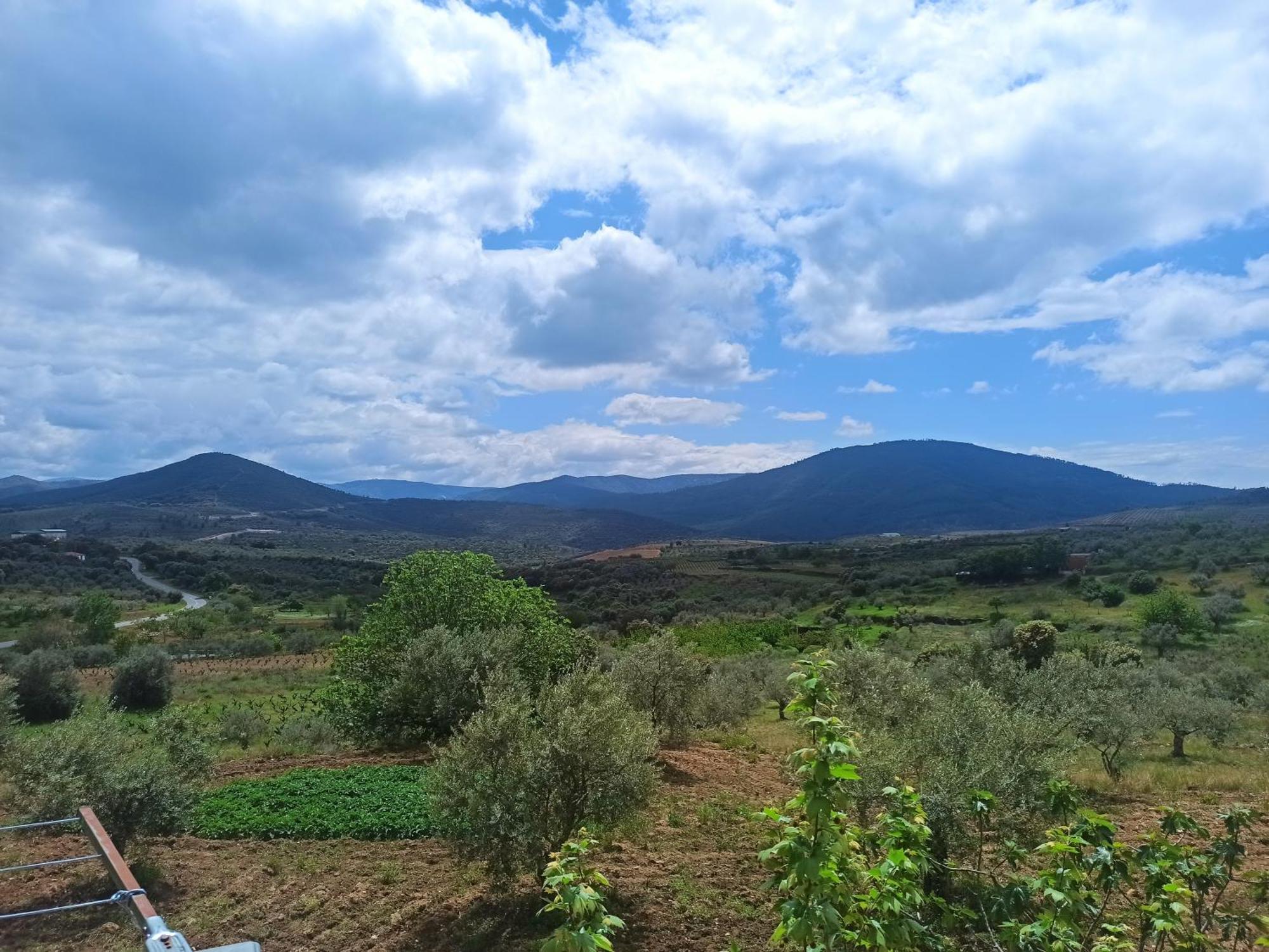 Casa Rural Los Olivos Sotoserrano Εξωτερικό φωτογραφία