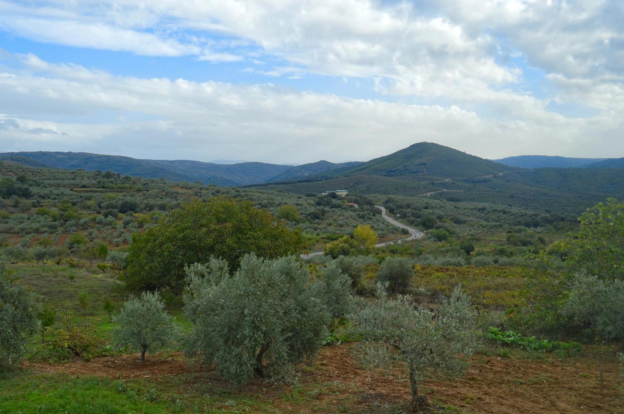 Casa Rural Los Olivos Sotoserrano Εξωτερικό φωτογραφία