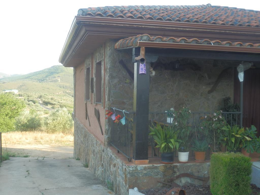 Casa Rural Los Olivos Sotoserrano Εξωτερικό φωτογραφία